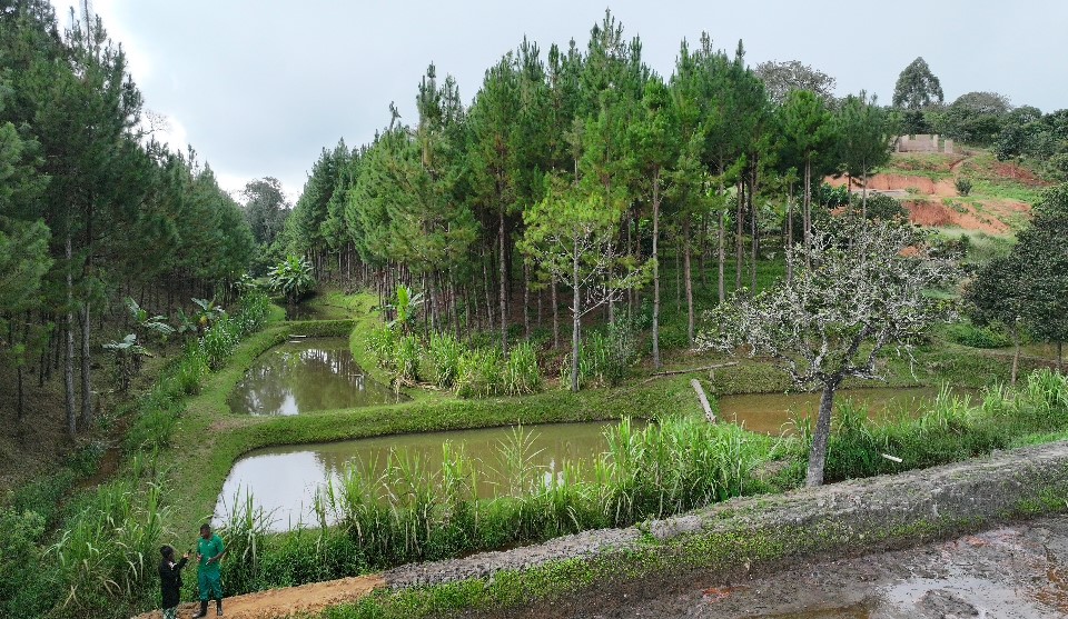 Fish ponds for Wamaka cooperative