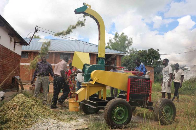 Animal feed processing at Mchinji Dairy Cooperative